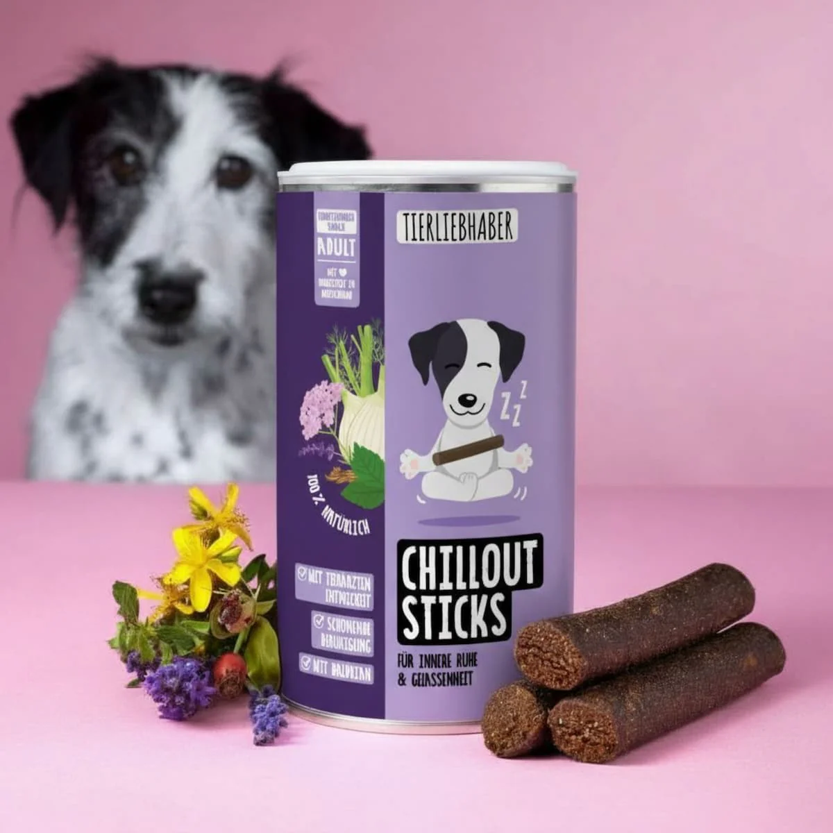 Chillout Bundle - Image 4