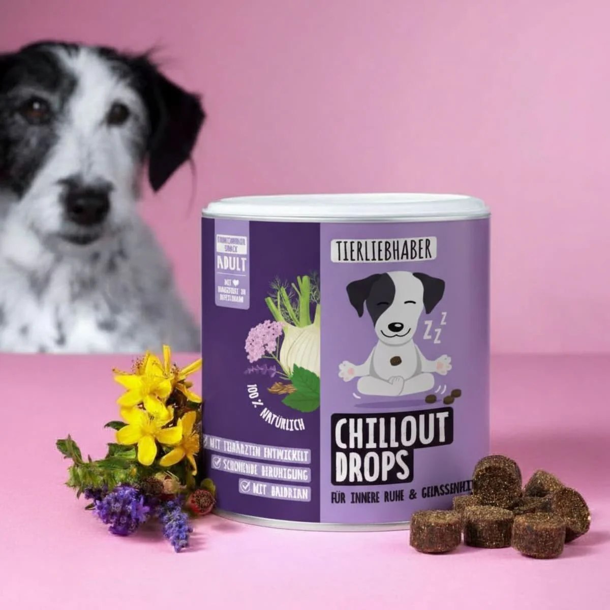 Chillout Drops 6er Bundle