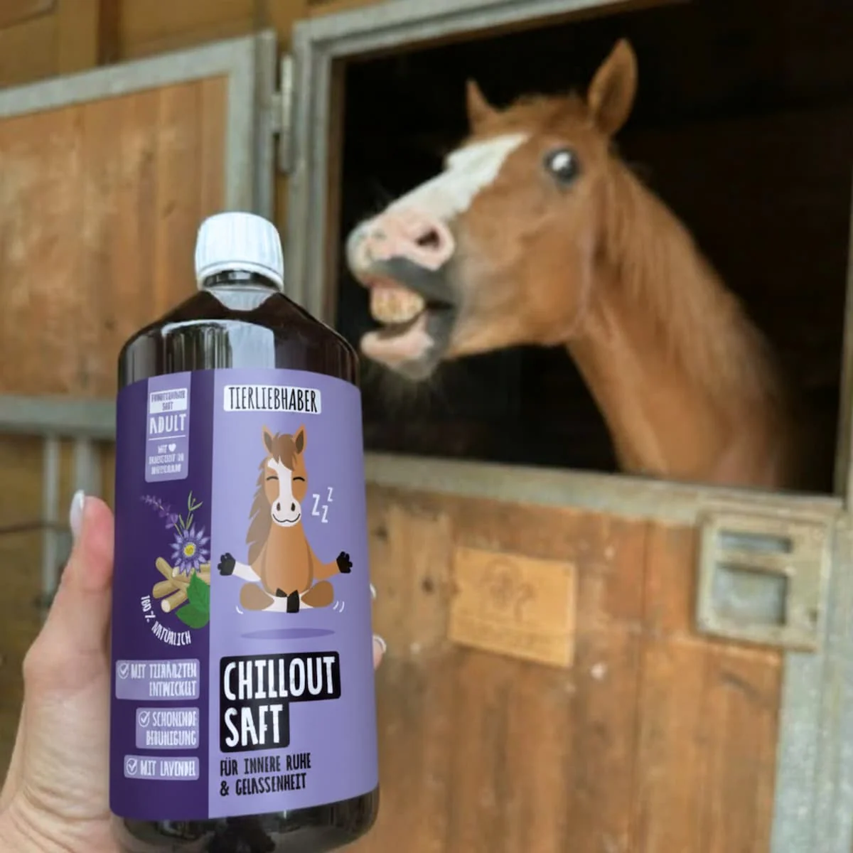 Chilloutsaft Pferd - Image 4