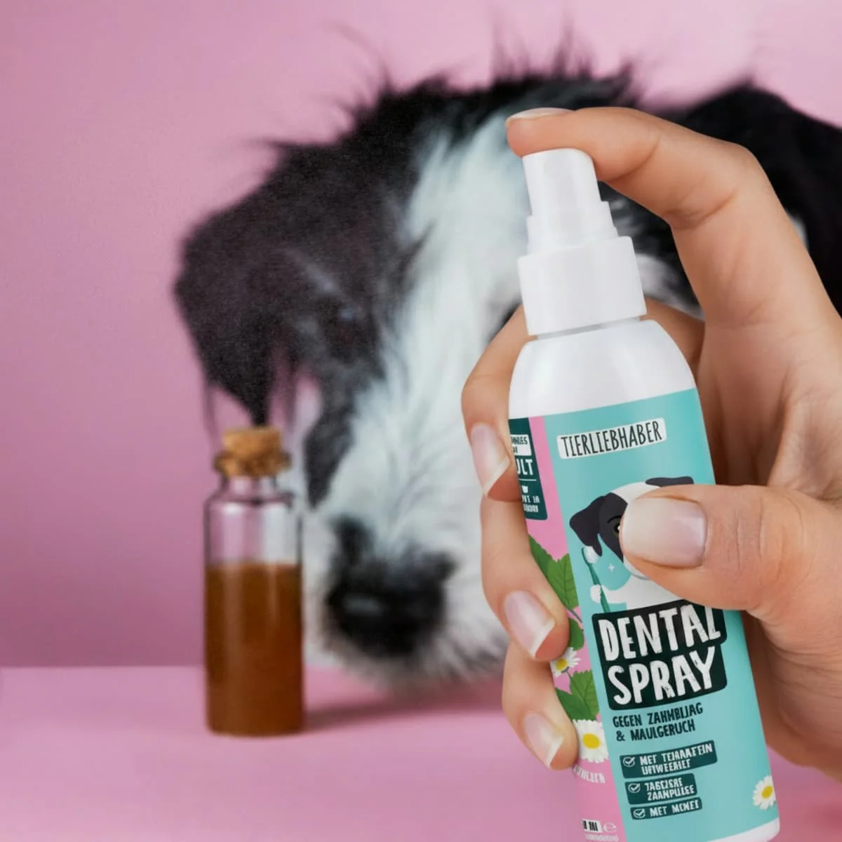 Dentalspray - Image 3