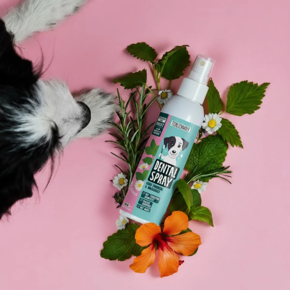Dentalspray - Image 4