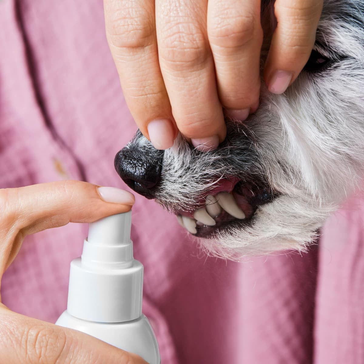 Dentalspray - Image 7