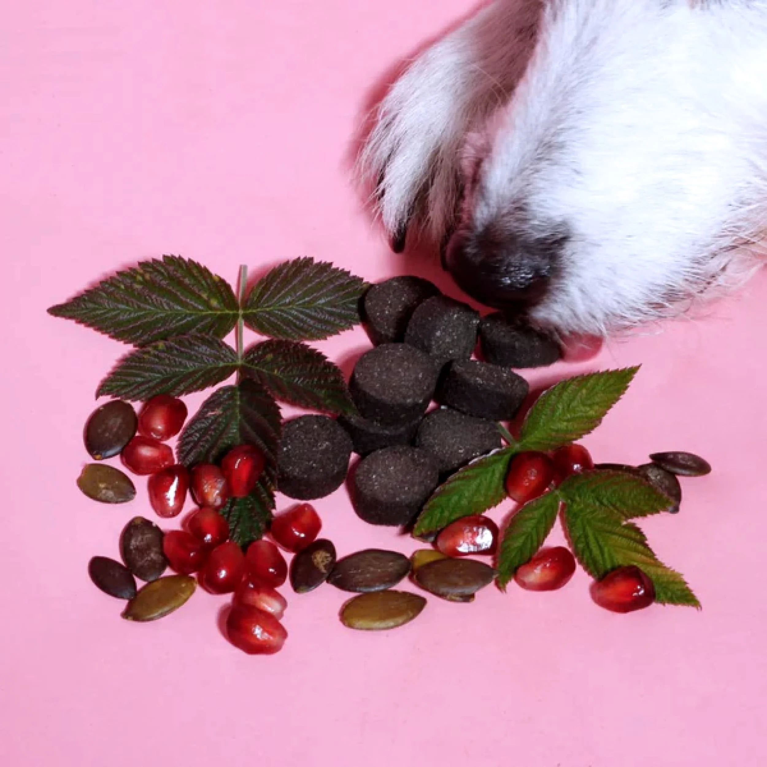 G-Snack - Image 3