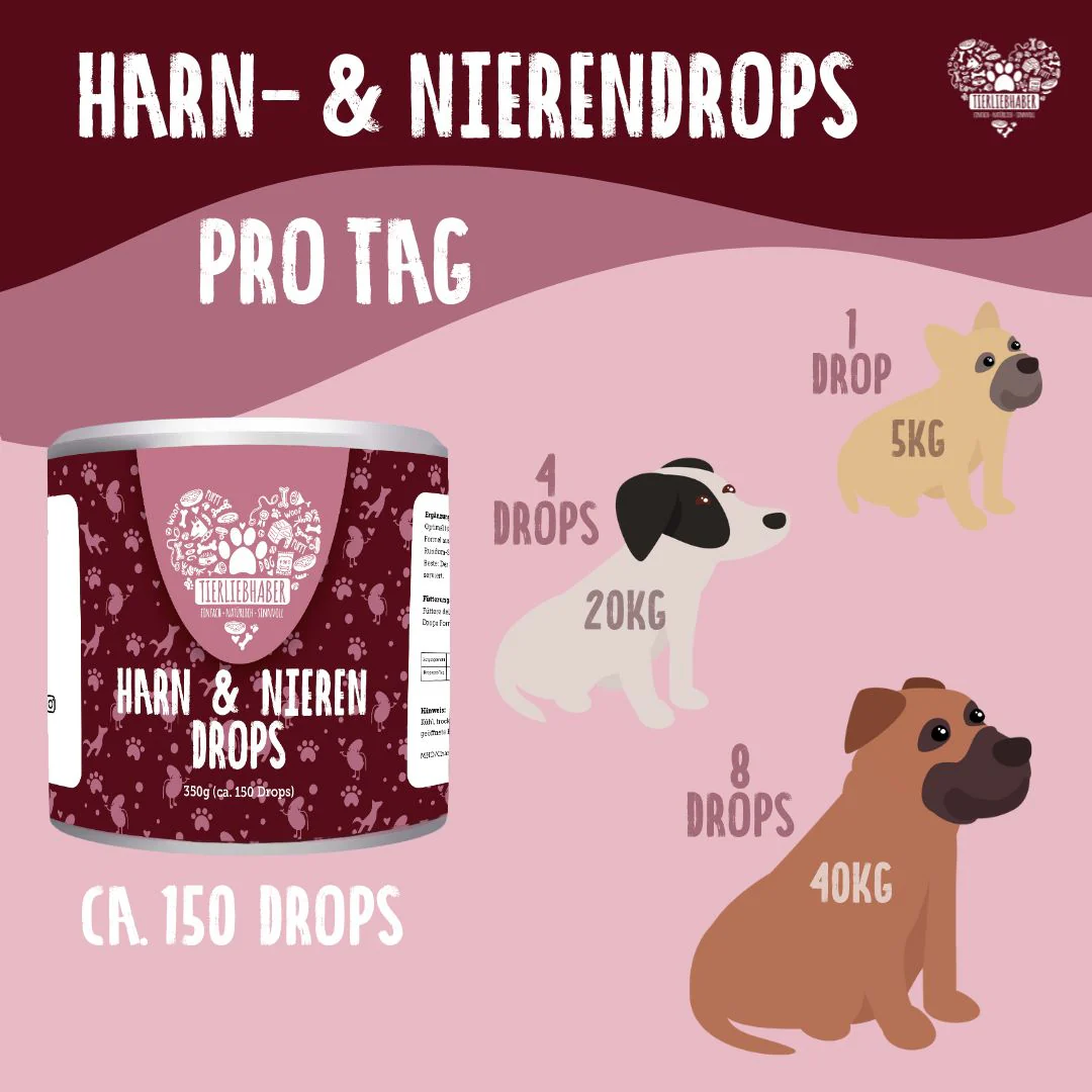 Harn- und Nieren Drops - Image 4