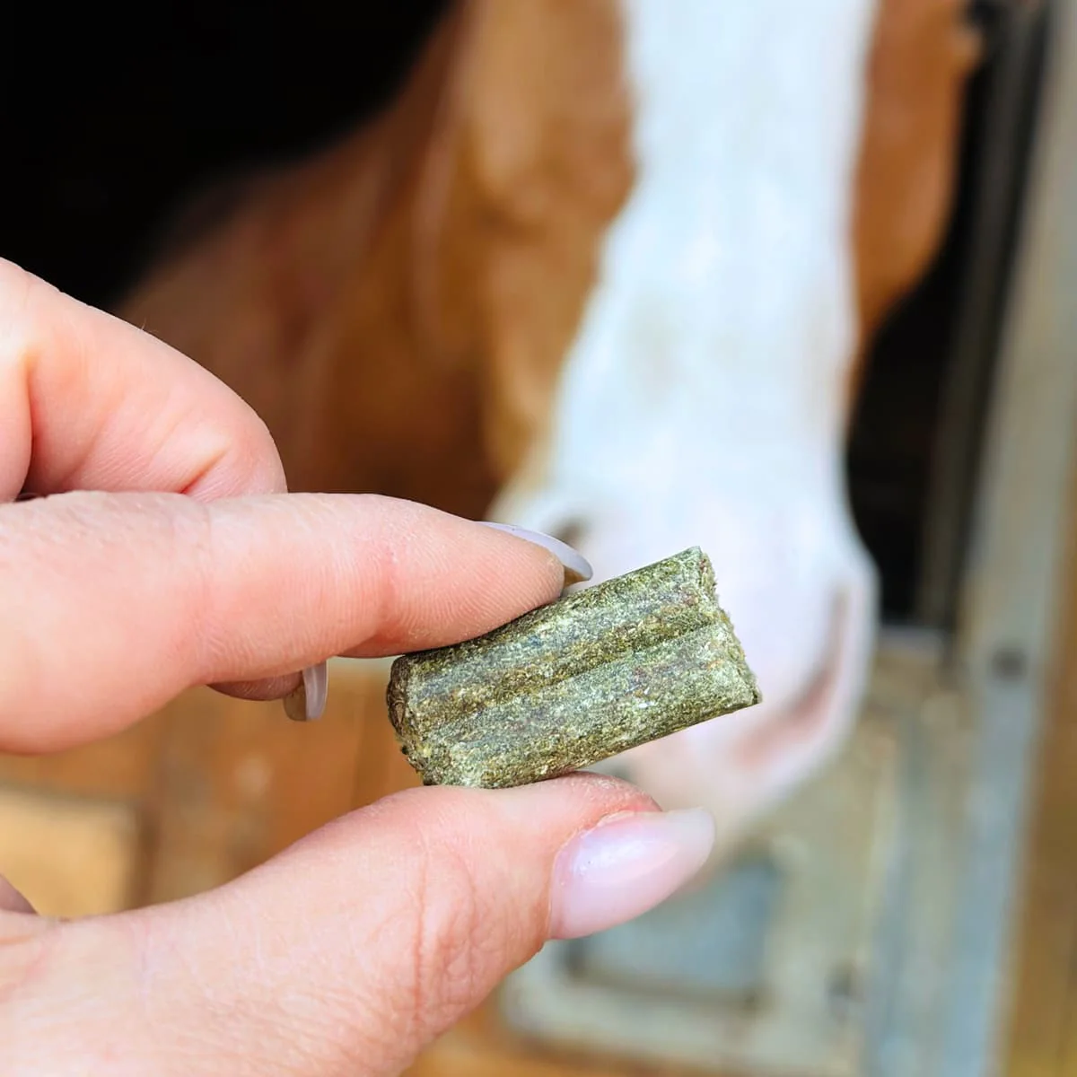 Hufsnack Pferd - Image 7