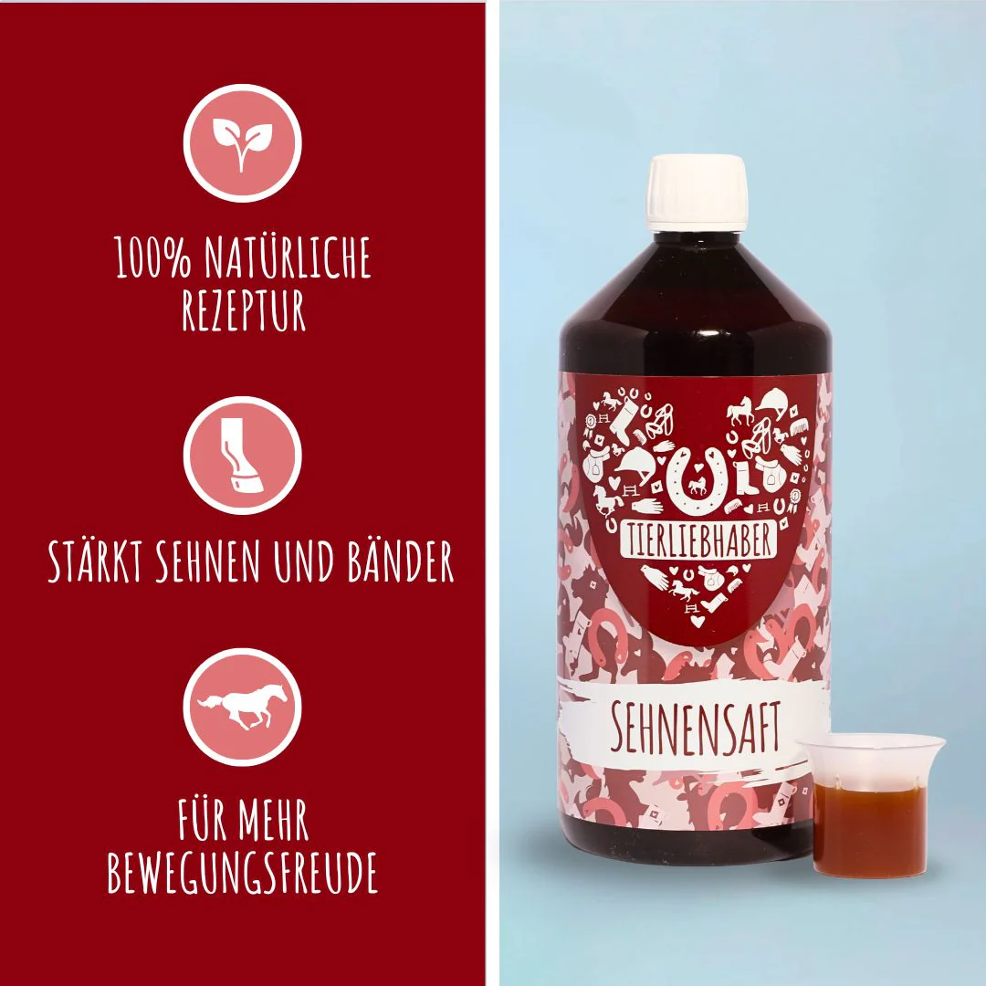 Sehnen & Gelenke Bundle Pferd - Image 3