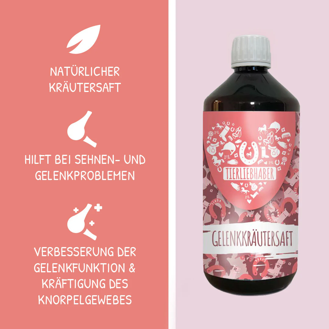 Sehnen & Gelenke Bundle Pferd - Image 4