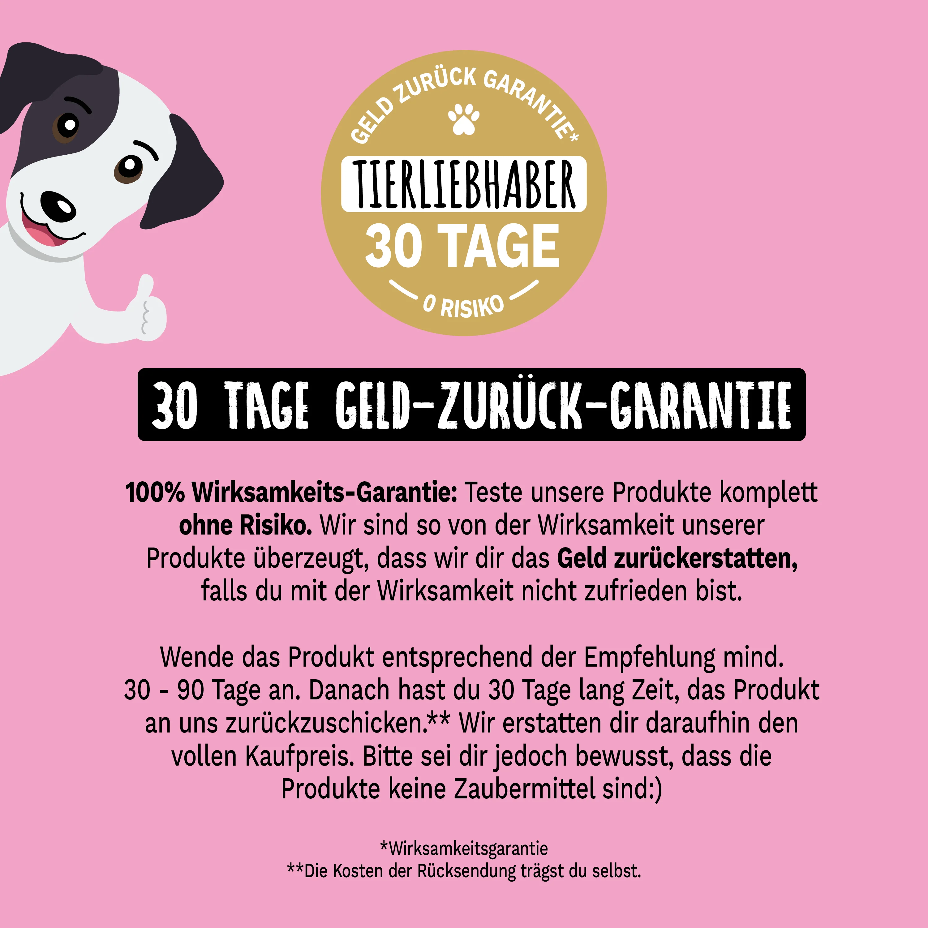 Zahnpflege Bundle - Image 13