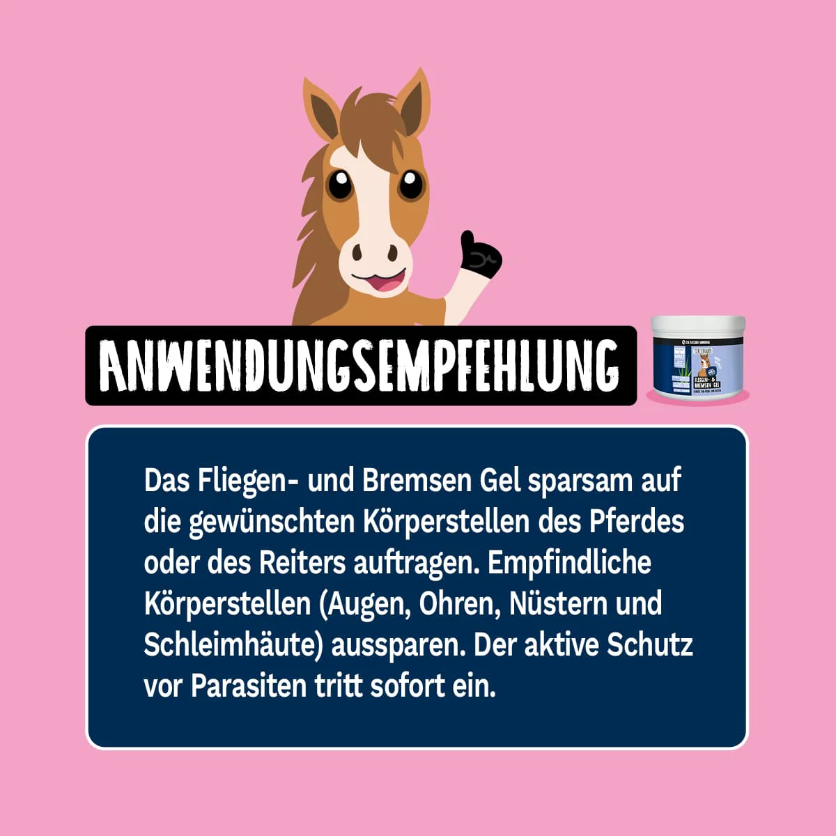 XL Schutz Paket Pferd - Image 11