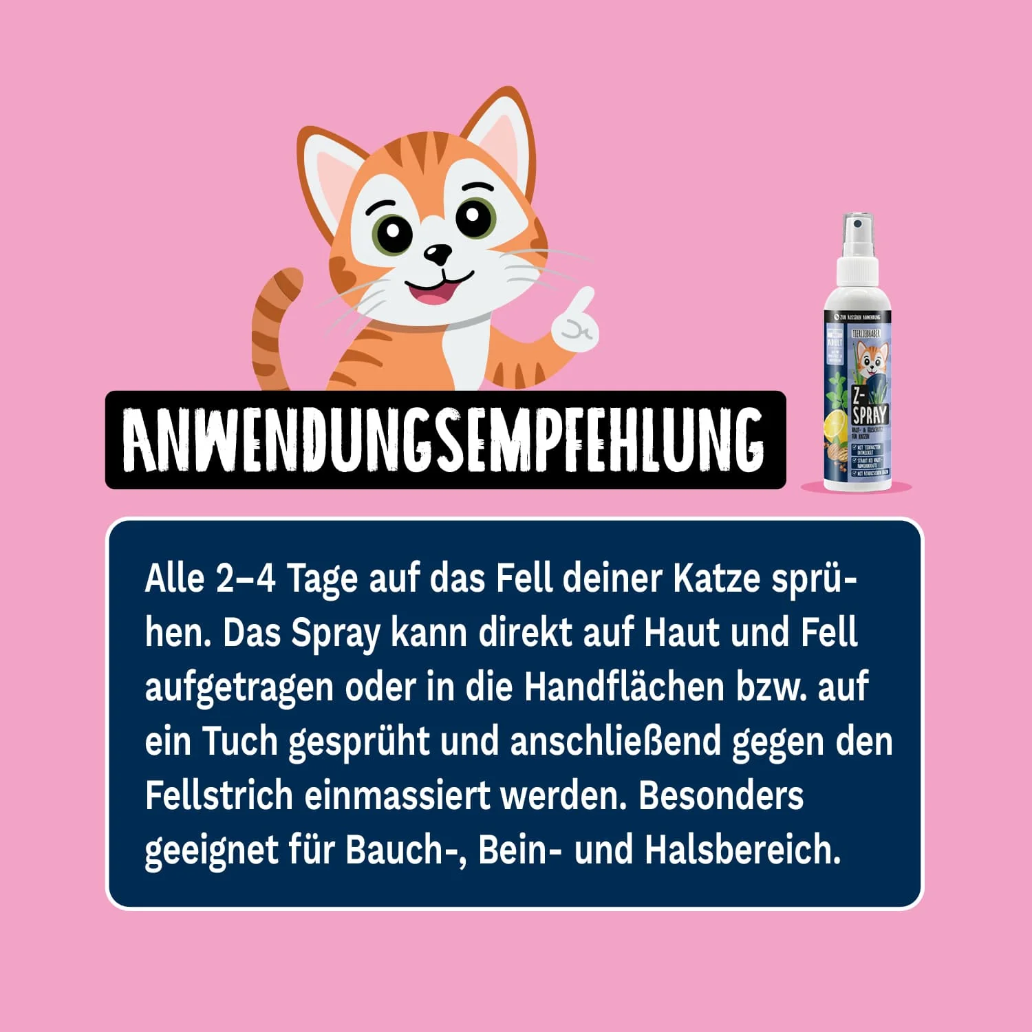 Z-Bundle Katze - Image 8