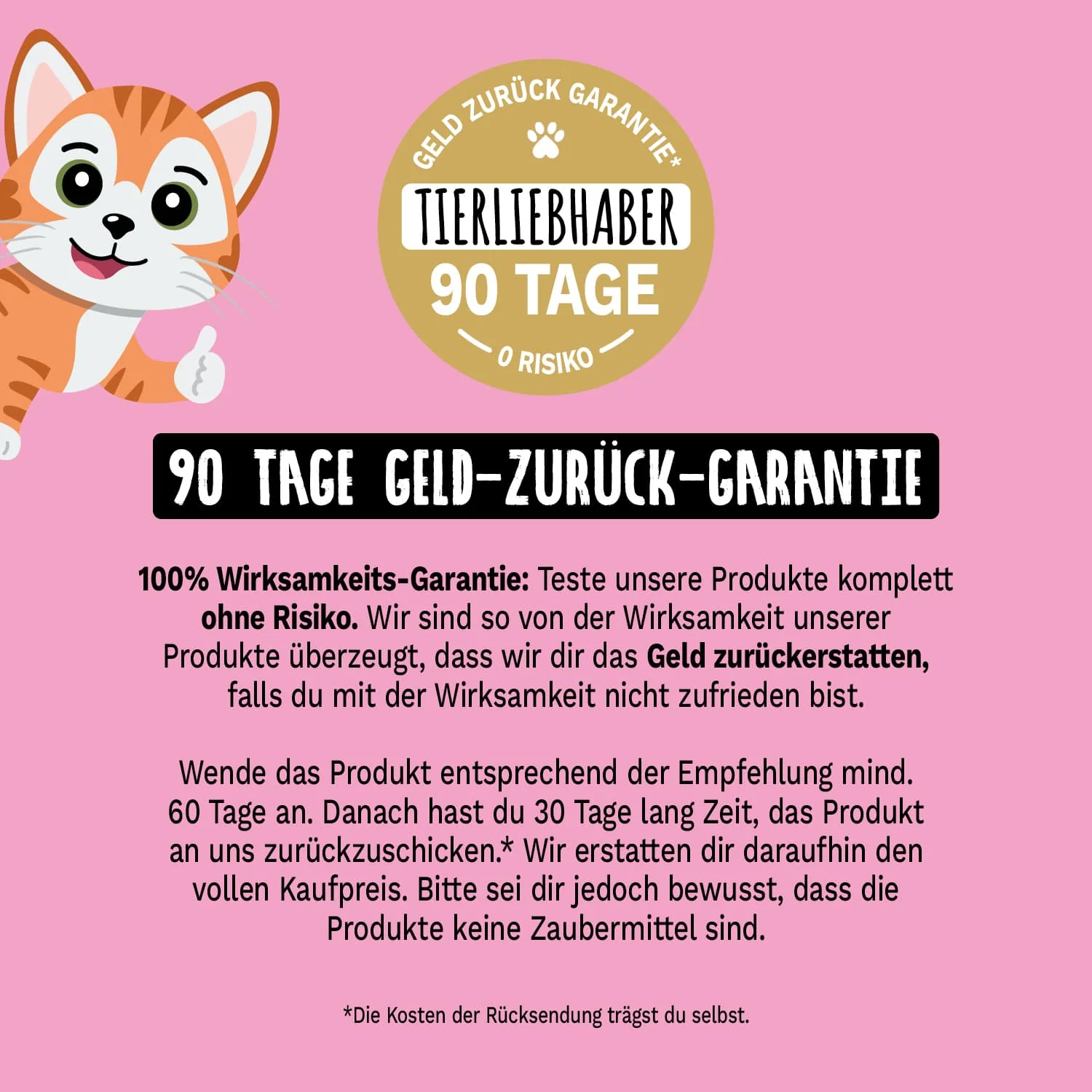 Z-Bundle Katze - Image 9
