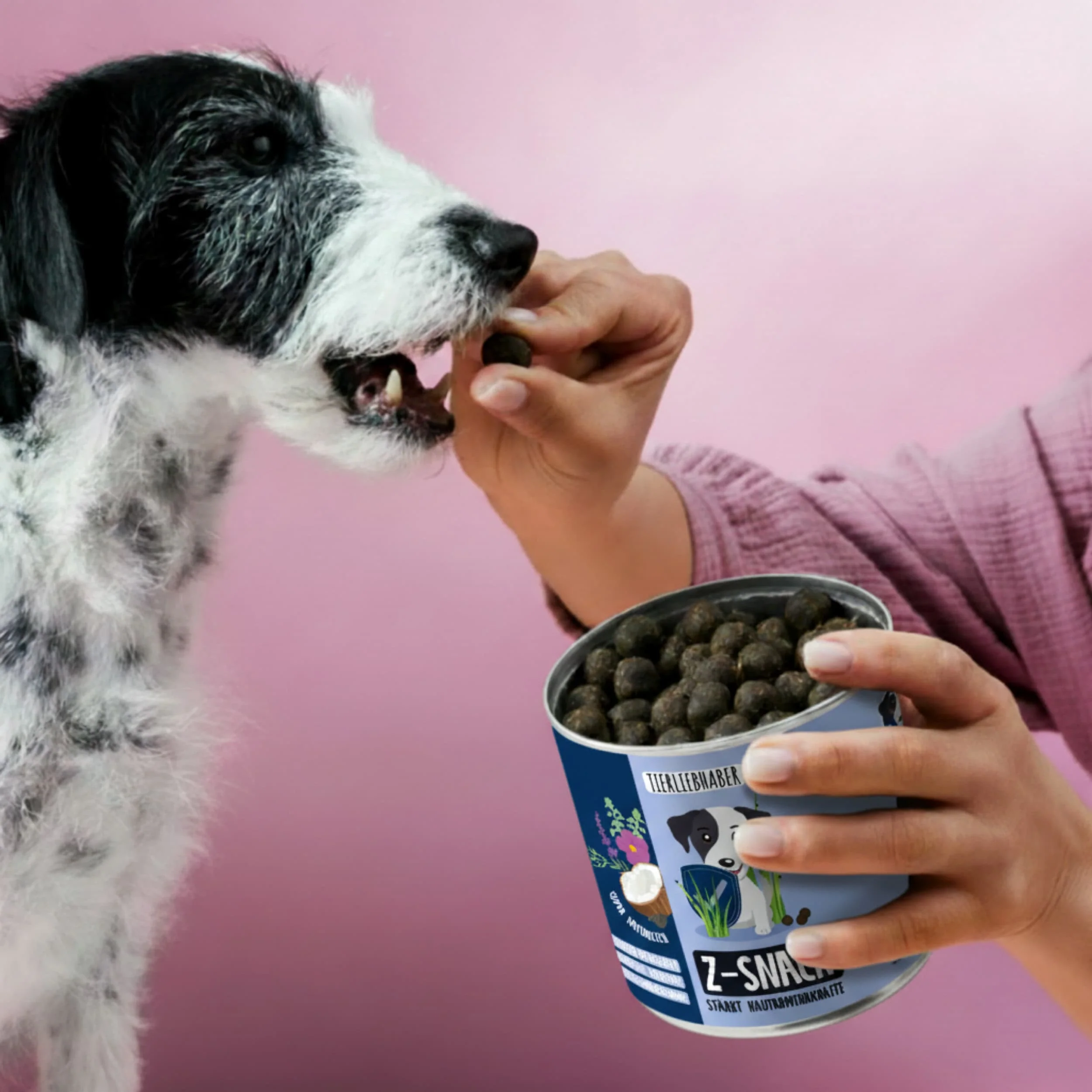Z-Snack - Image 4