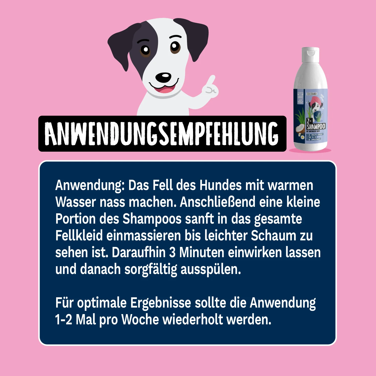 Z-Shampoo - Image 2