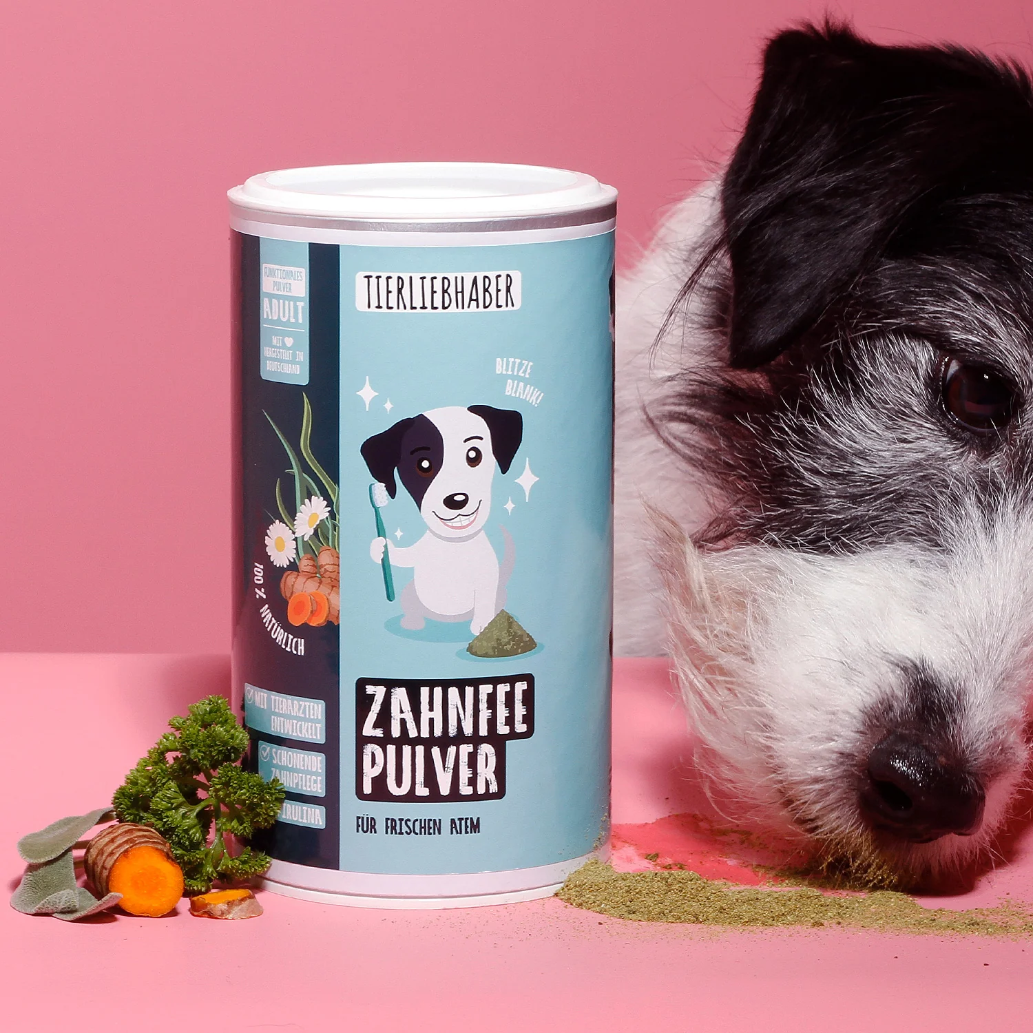 Zahnfee Pulver